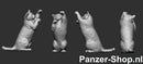 spur (H0) Katzen Modell