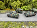 spur (N) Jaguar 2 Raketenjagdpanzer Modell