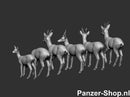 spur (N) Rehe Modell