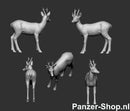 spur (N) Rehe Modell