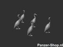 spur (N) Reiher Modell