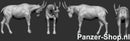 spur (N) Steinbocke, Weibchen und Jungtiere Modell