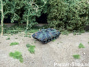spur Raketenjagdpanzer Jaguar 1 (N Fertigmodell) Modell