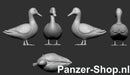 spur (TT) Enten Modell