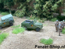 spur (TT) IFA P3