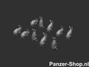 spur (TT) Kaninchen Modell