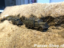 spur (TT) Wehrmacht Satze 6 | Sitzende Soldaten Modell