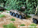 spur (Z) DAF YP-408 Modell